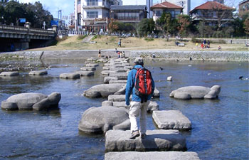加茂川の踏み石