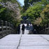 日本風な橋と背景の木々
